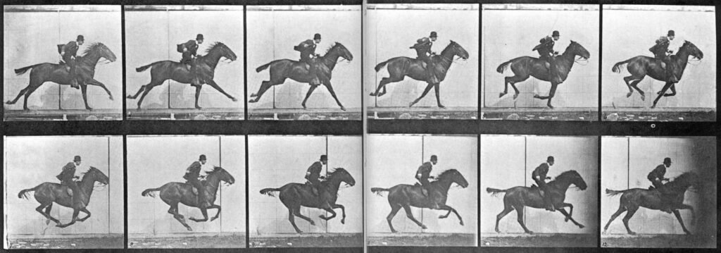 Sallie Gardner at a Gallop 1878 The Horse in Motion