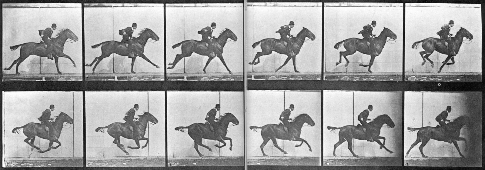 Sallie Gardner at a Gallop 1878 The Horse in Motion